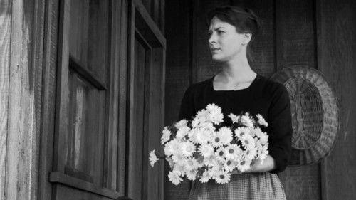 Gunsmoke Season 7 Episode 12 - Nina's Revenge