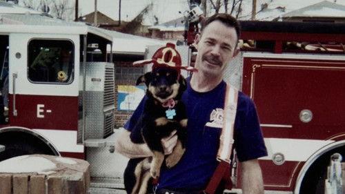 The Murder Tapes Season 1 Episode 1 - Albuquerque Ambush