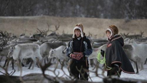 Natural World Season 27 Episode 11 - Reindeer Girls