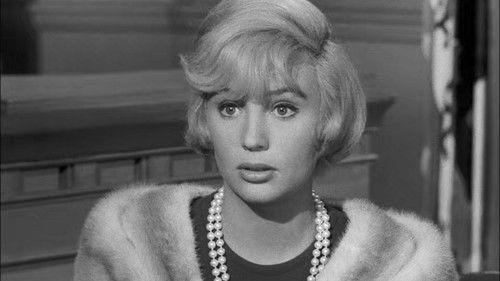 Perry Mason Season 6 Episode 4 - The Case of the Double-Entry Mind