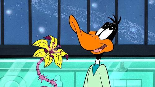Duck Dodgers Season 1 Episode 7 - Duck Codgers