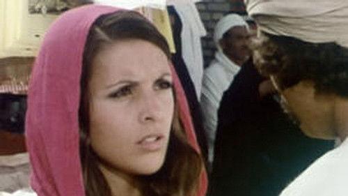 Poly Season 9 Episode 4 - Episode 4