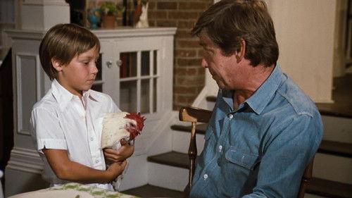 The Waltons Season 8 Episode 2 - The Kinfolk