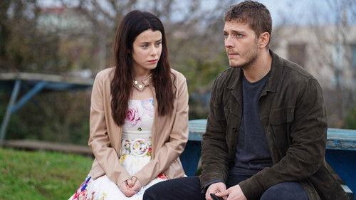 Street Birds Season 1 Episode 13 - Episode 13