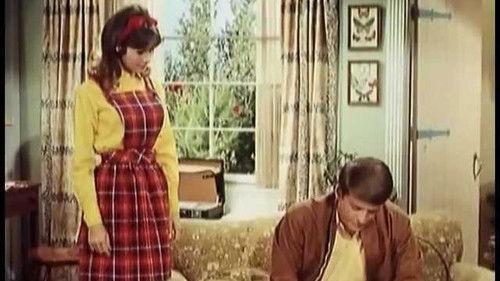 Petticoat Junction Season 6 Episode 14 - The Ballad of the Everyday Housewife