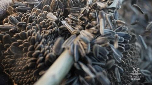 Once Upon a Bite Season 4 Episode 6 - Episode 6