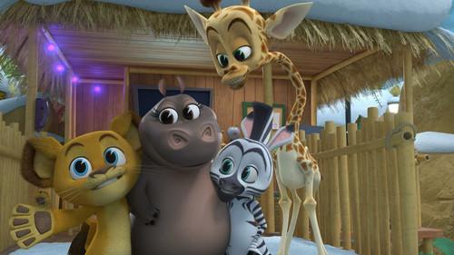 Madagascar: A Little Wild Season 3 Episode 5 - Groundhog Day