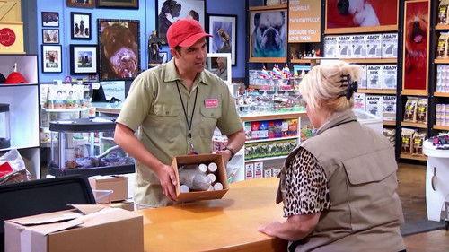 The Carbonaro Effect Season 5 Episode 2 - Moving Dragon