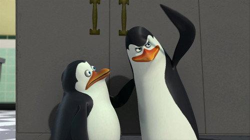 The Penguins of Madagascar Season 2 Episode 2 - It's About Time