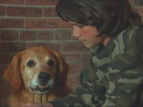 Sue Thomas: F.B.Eye Season 3 Episode 12 - Boy Meets World