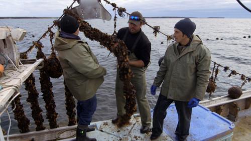 Still Standing Season 2 Episode 3 - Georgetown, P.E.I.