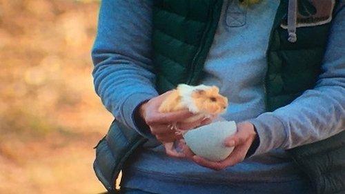 The Carbonaro Effect Season 2 Episode 15 - Dead Man Walking