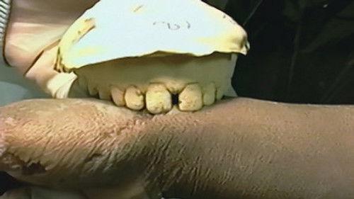 undefined Season 1 Episode 1 - The Evidence: Indeed and Without Doubt