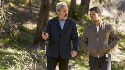NCIS Season 19 Episode 16 - The Wake