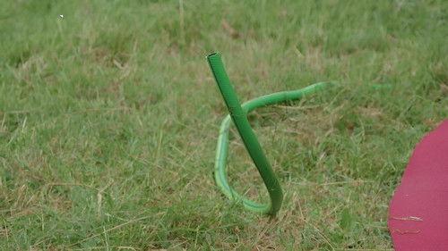 Taskmaster Portugal Season 5 Episode 7 - Episode 7