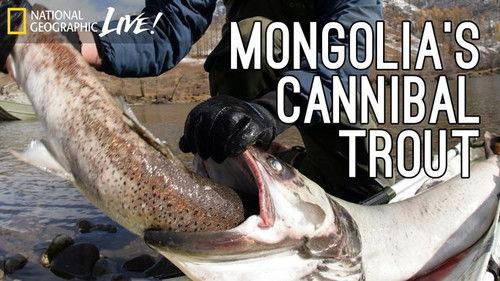 Monster Fish Season 2 Episode 2 - Mongolian Terror Trout