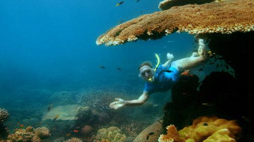 Reef Doctors Season 1 Episode 6 - Episode 6