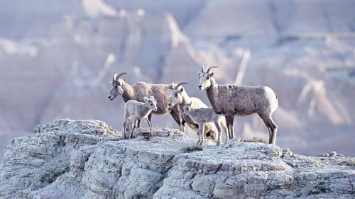 America's National Parks Season 1 Episode 4 - Badlands