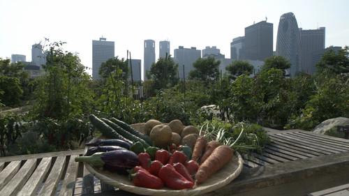 Shin Nihon Fudoki Season 9 Episode 13 - Episode 13