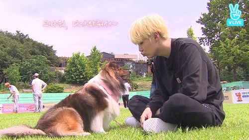 Run BTS! Season 2 Episode 13 - Pet Friends