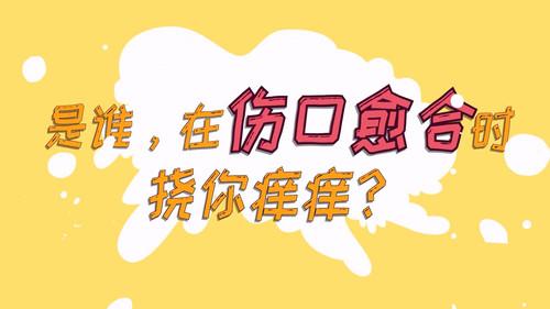 土豆逗严肃科普 第一季 Season 2 Episode 3 - Episode 3