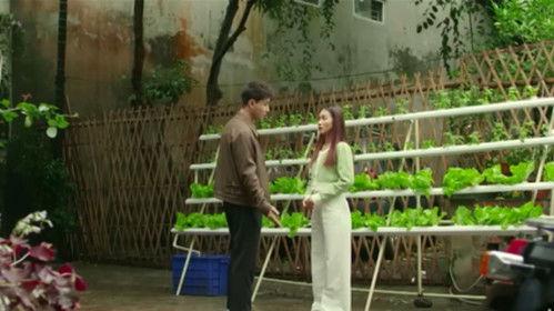 Suddenly Happy Family Season 1 Episode 19 - Episode 19