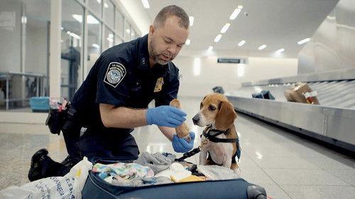 Airport Security: USA Season 1 Episode 1 - Episode 1