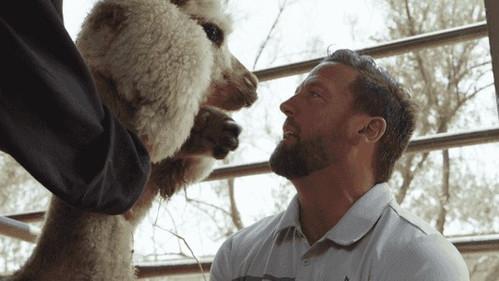 The Wizard of Paws Season 3 Episode 5 - Debbie