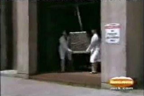 Animorphs Season 2 Episode 3 - Changes (1)