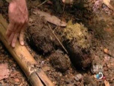 Dual Survival Season 2 Episode 4 - Bitten