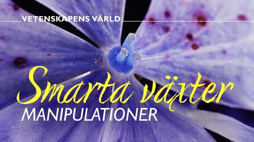 Vetenskapens värld Season 51 Episode 2 - Episode 2