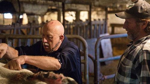 The Incredible Dr. Pol Season 10 Episode 2 - Show Me the Bunny