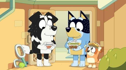 Bluey Season 3 Episode 9 - Curry Quest