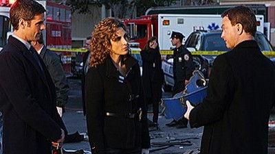 CSI: NY Season 5 Episode 17 - Green Piece