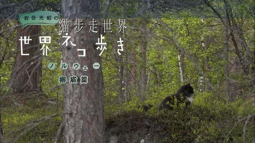 Mitsuaki Iwago's World “Cats” Travelogue Season 1 Episode 21 - Norway