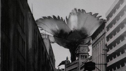 Ultra Q Season 1 Episode 4 - Mammoth Flower