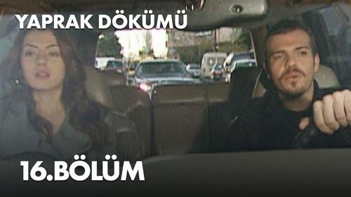 Falling Leaves Season 1 Episode 16 - Episode 16