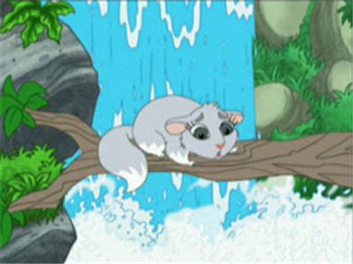 Go, Diego, Go! Season 1 Episode 3 - Chinta the Baby Chinchilla