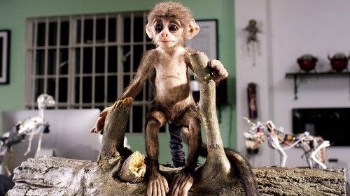 Spy in the Wild Season 1 Episode 5 - Meet the Spies