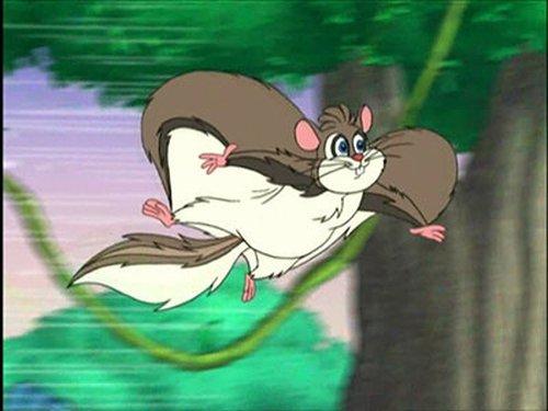 Go, Diego, Go! Season 3 Episode 7 - Super Flying Squirrel to the Rescue!