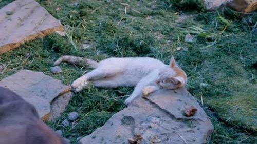 The Empress of China Season 1 Episode 8 - Episode 8