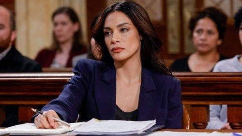 Law & Order Season 22 Episode 4 - Benefit of the Doubt