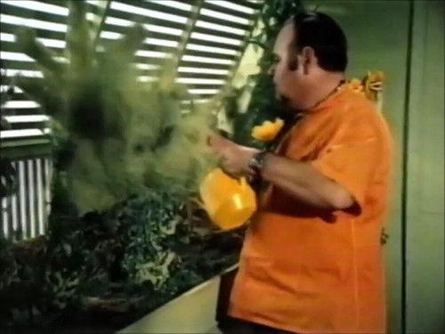 The Mouse Factory Season 1 Episode 10 - Interplanetary Travel