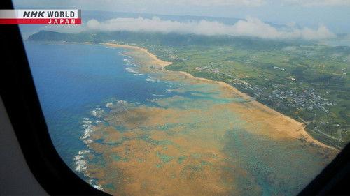 On the Wings Season 1 Episode 4 - Kagoshima to Amami Airport