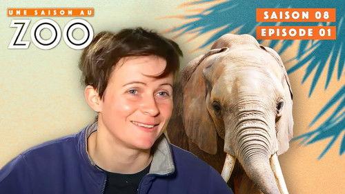 Une saison au zoo Season 8 Episode 1 - Episode 1