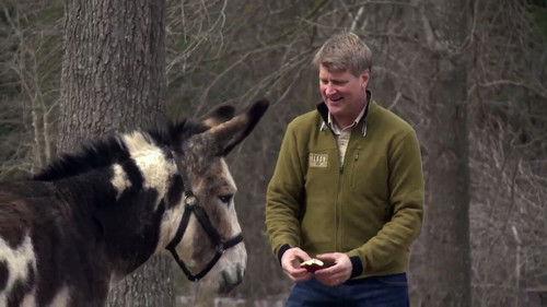 Treehouse Masters Season 4 Episode 7 - Lost in the Forest