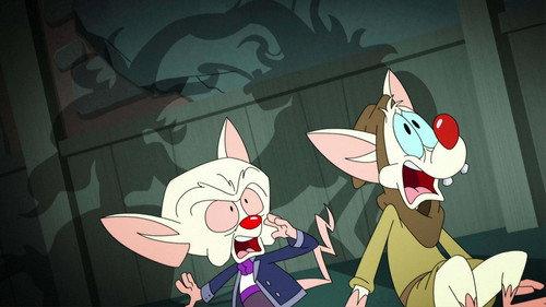 Animaniacs Season 1 Episode 35 - Bride of Pinky
