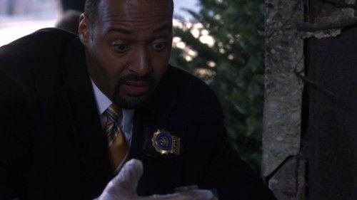 Law & Order Season 16 Episode 16 - Cost of Capital