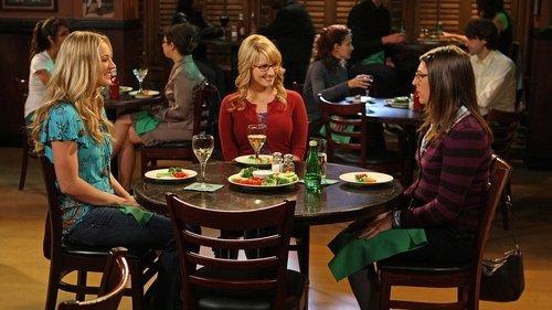 The Big Bang Theory Season 4 Episode 10 - The Alien Parasite Hypothesis