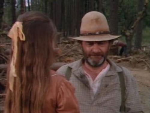 Little House on the Prairie Season 6 Episode 8 - The Return of Mr. Edwards